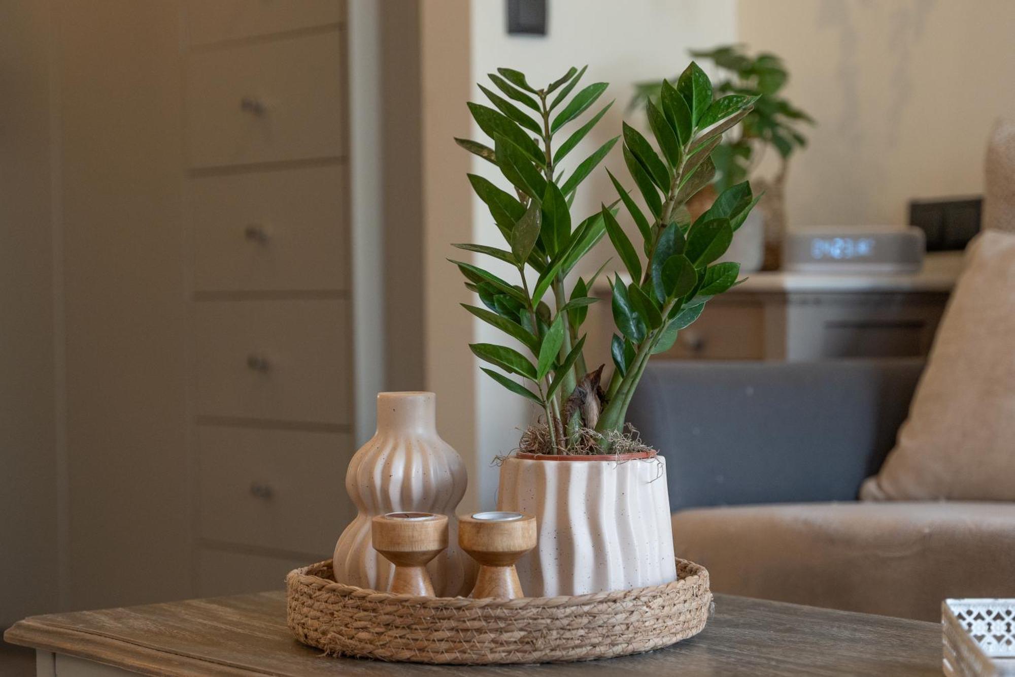 Ixia Home Eksteriør billede